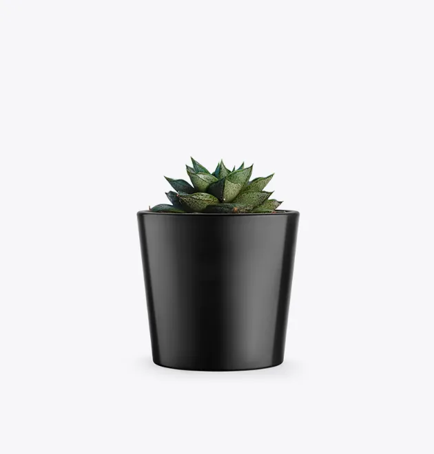 product-image-3_optimized Odio Pellentesque - 图片 5