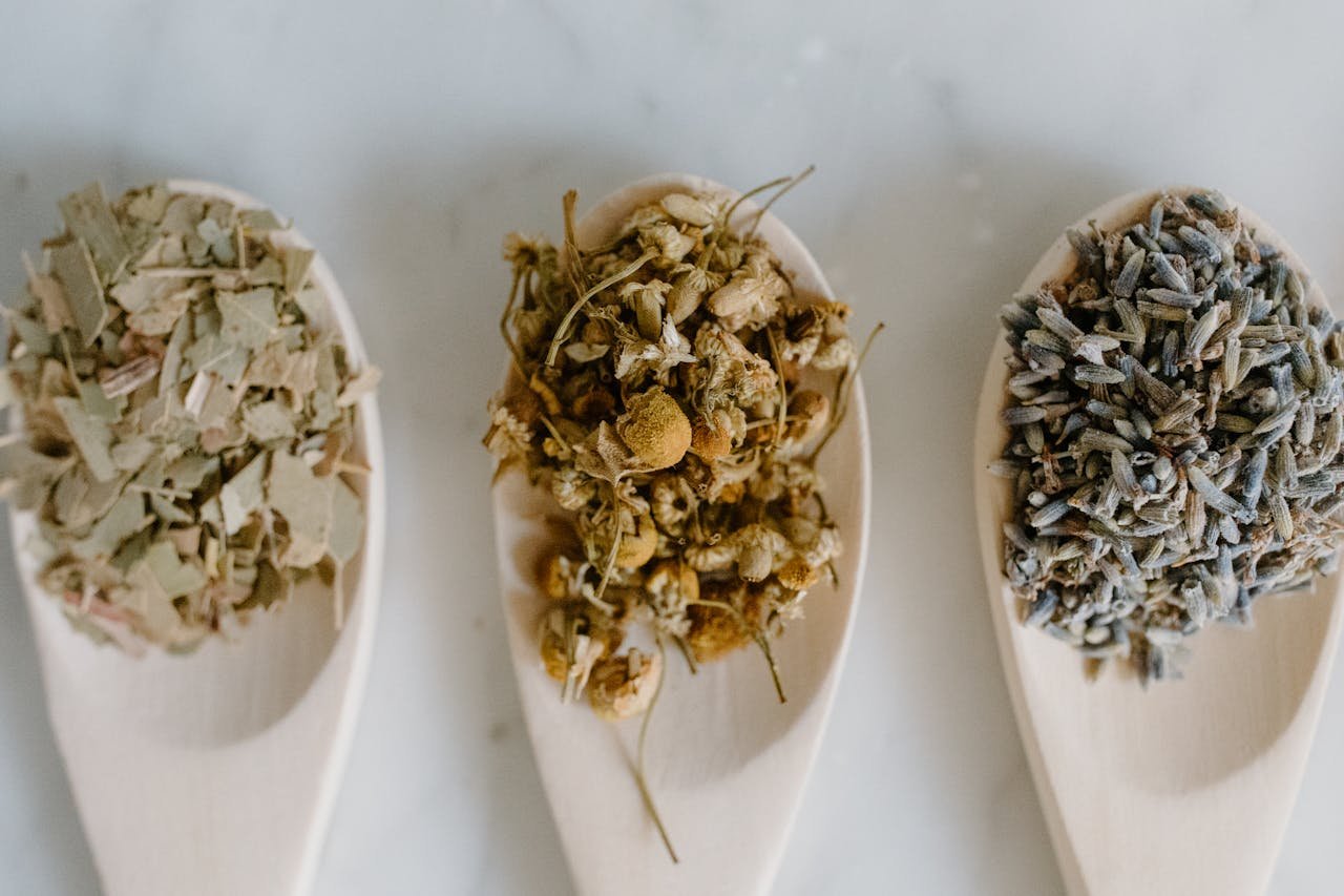 gallery-1 Flat lay of dried herbal remedies in wooden spoons for natural healing.